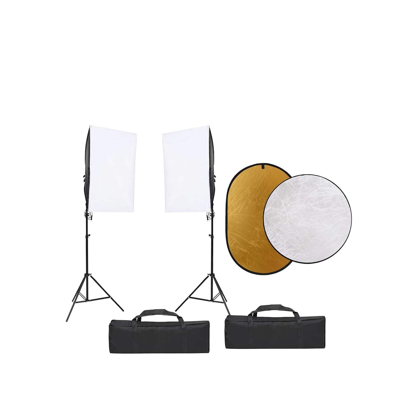 Kit de studio photo avec éclairage toile de fond et réflecteur