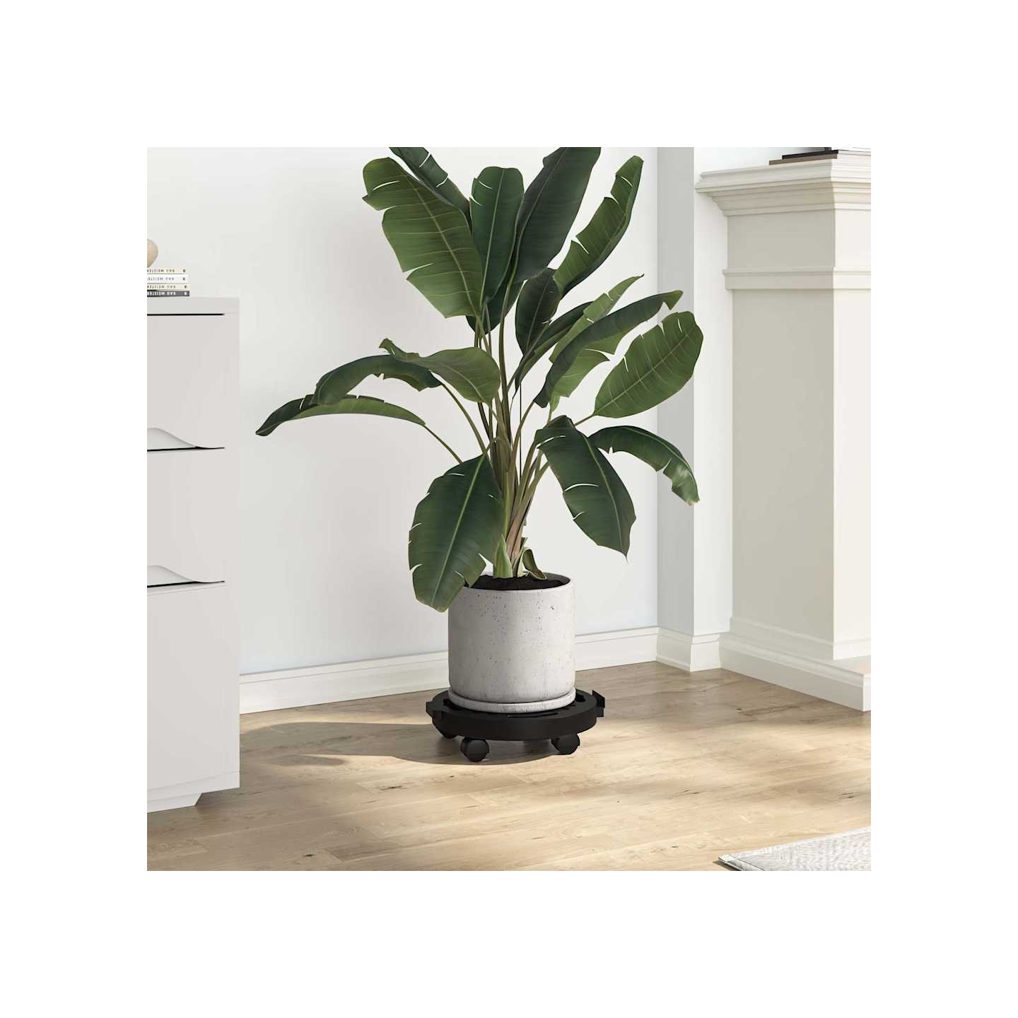 Support sur roulettes pour plantes Diamètre 30 cm Noir 170 kg