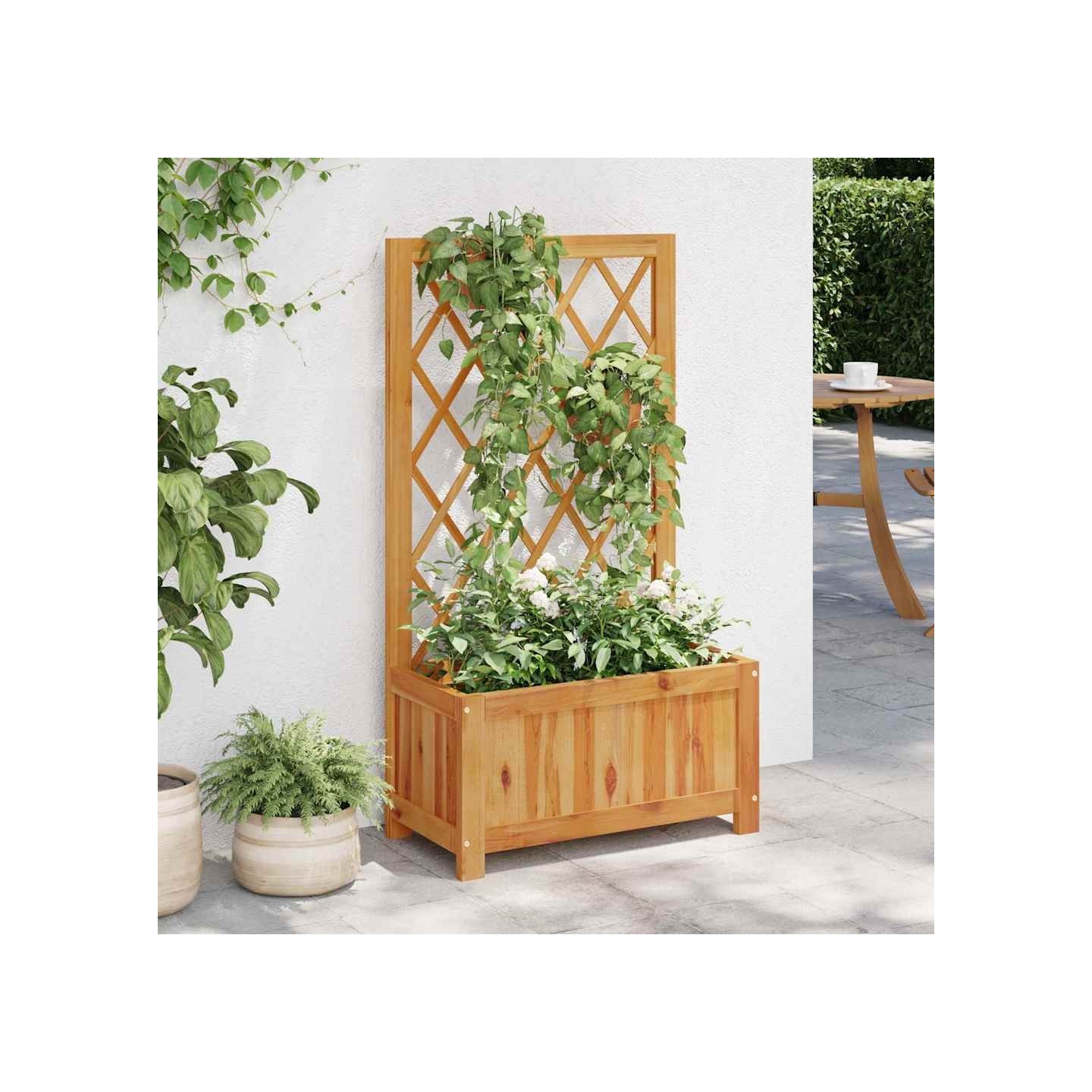Lit surélevé de jardin avec treillis Bois massif d'acacia