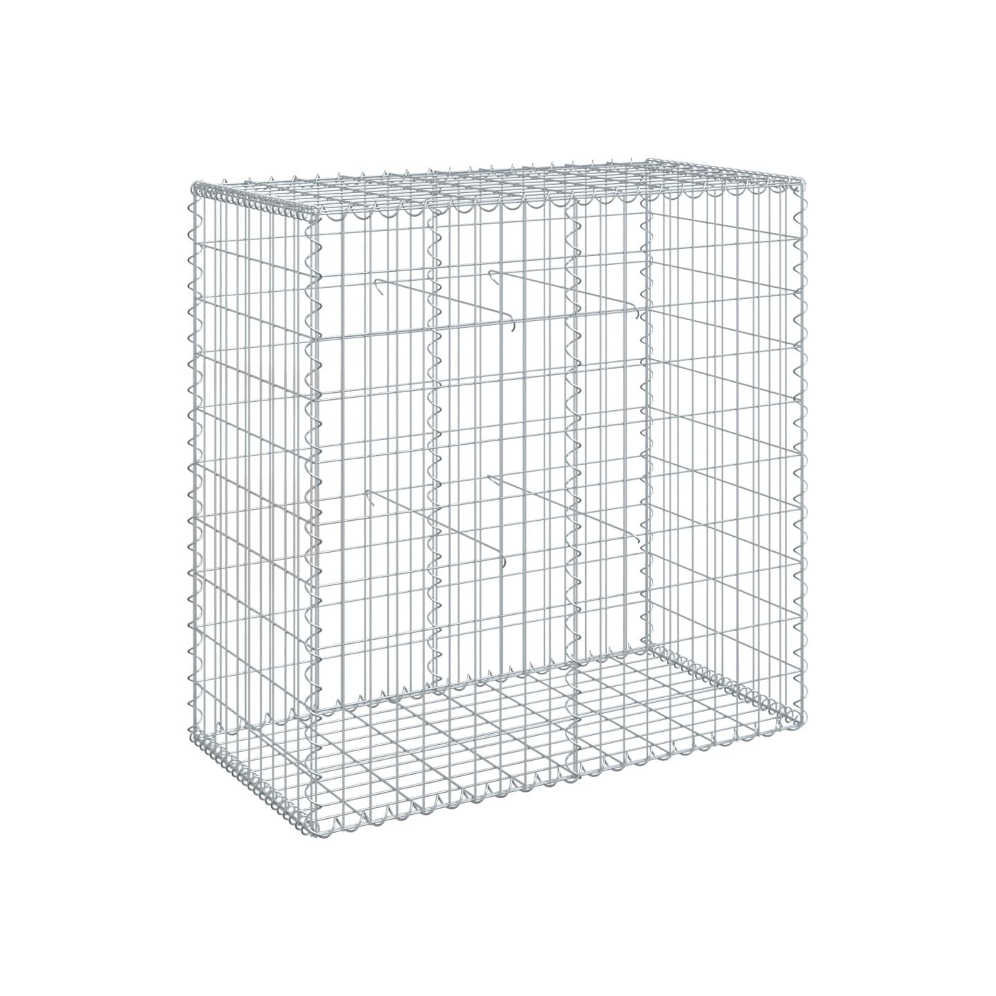 Panier gabion avec couvercle 100x50x100 cm fer galvanisé