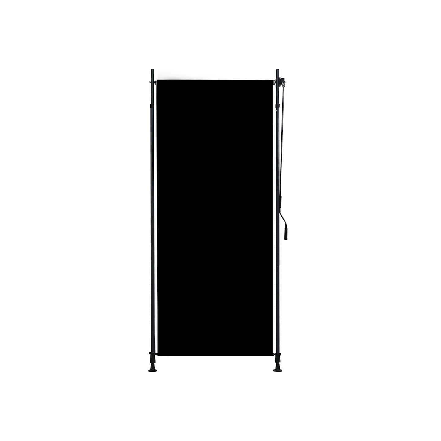 Store roulant d'extérieur 100 x 270 cm Anthracite