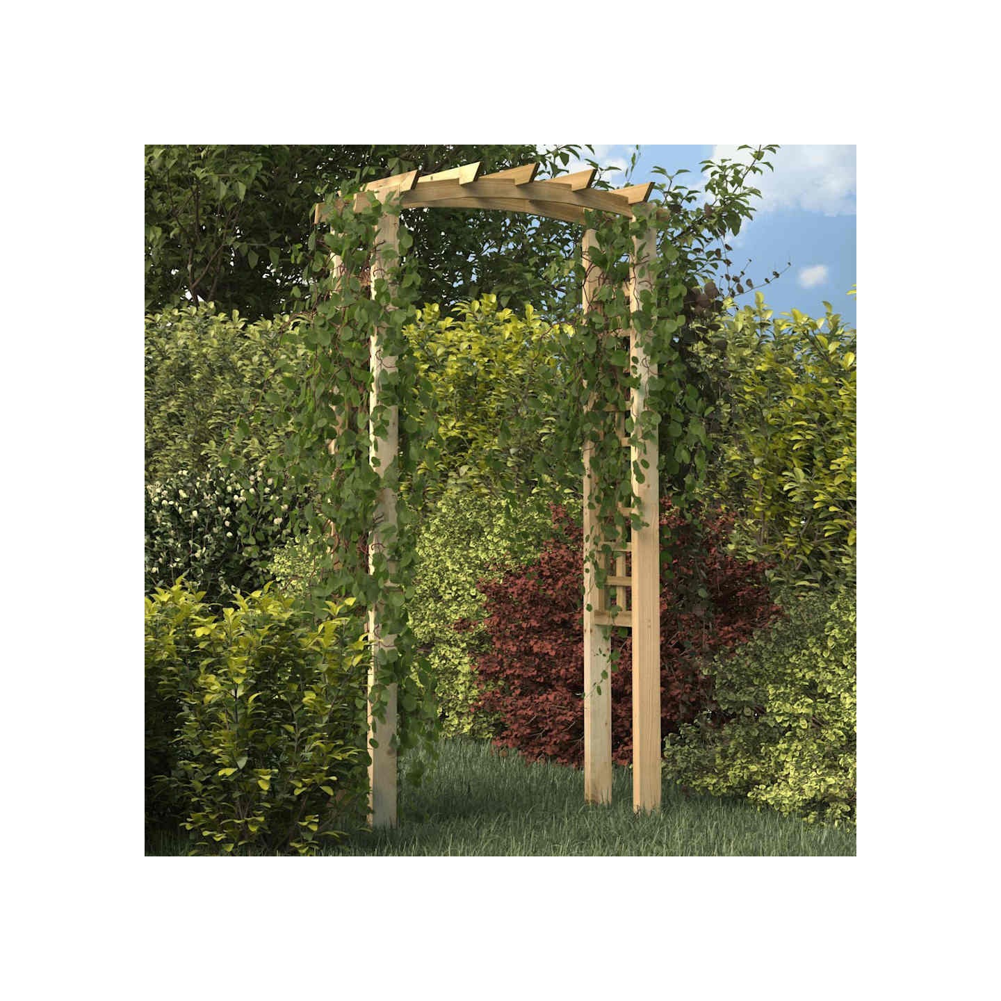 Arche en treillis 110x60x210 cm Bois de pin massif imprégné