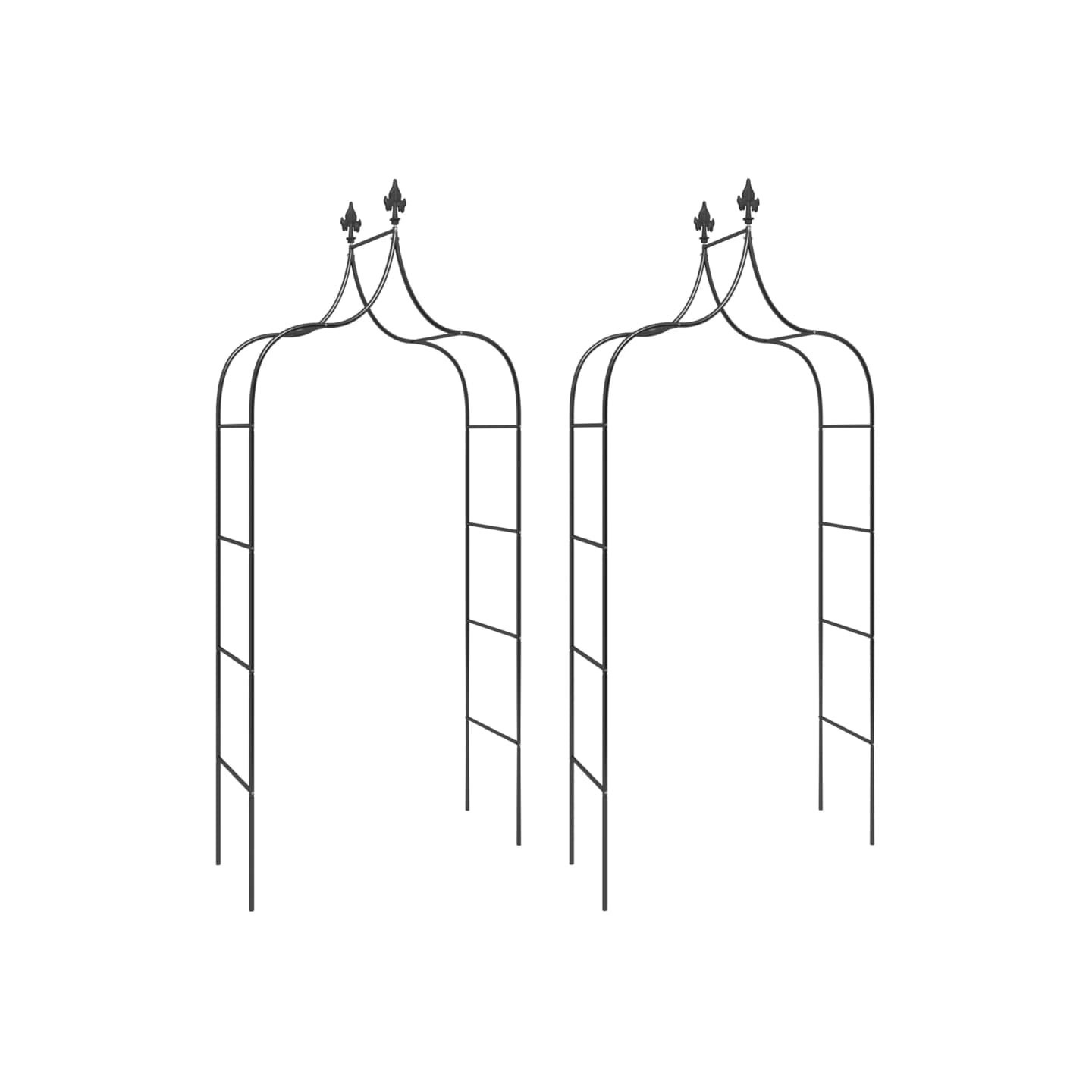 Arches de jardin 2 pcs Noir 120x38x260 cm Acier