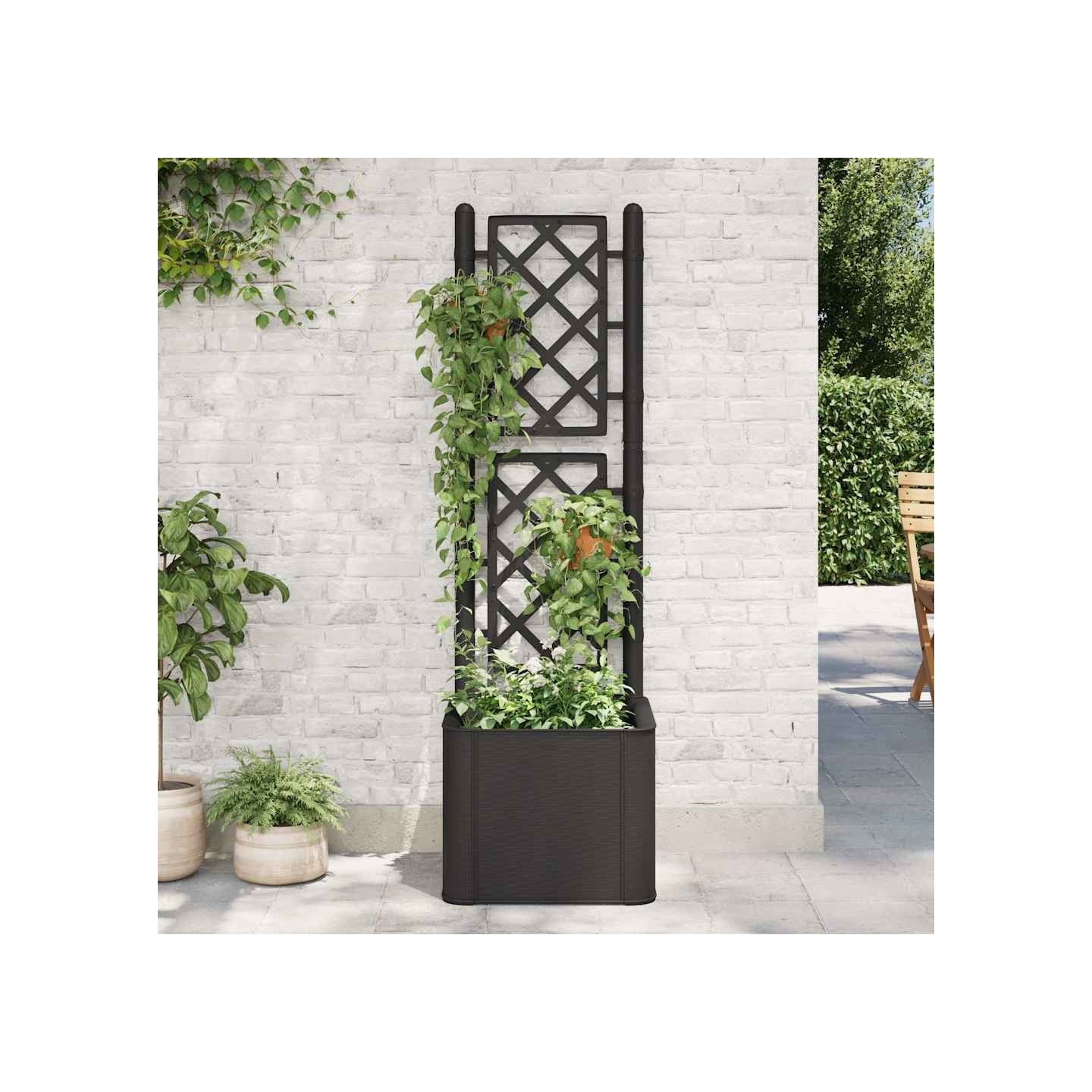 Lit surélevé de jardin treillis système d'arrosage Anthracite