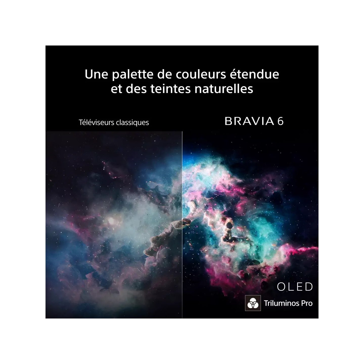 TV OLED Sony Bravia 6 48" K48A65PB 4K 120 Hz | Nimestore