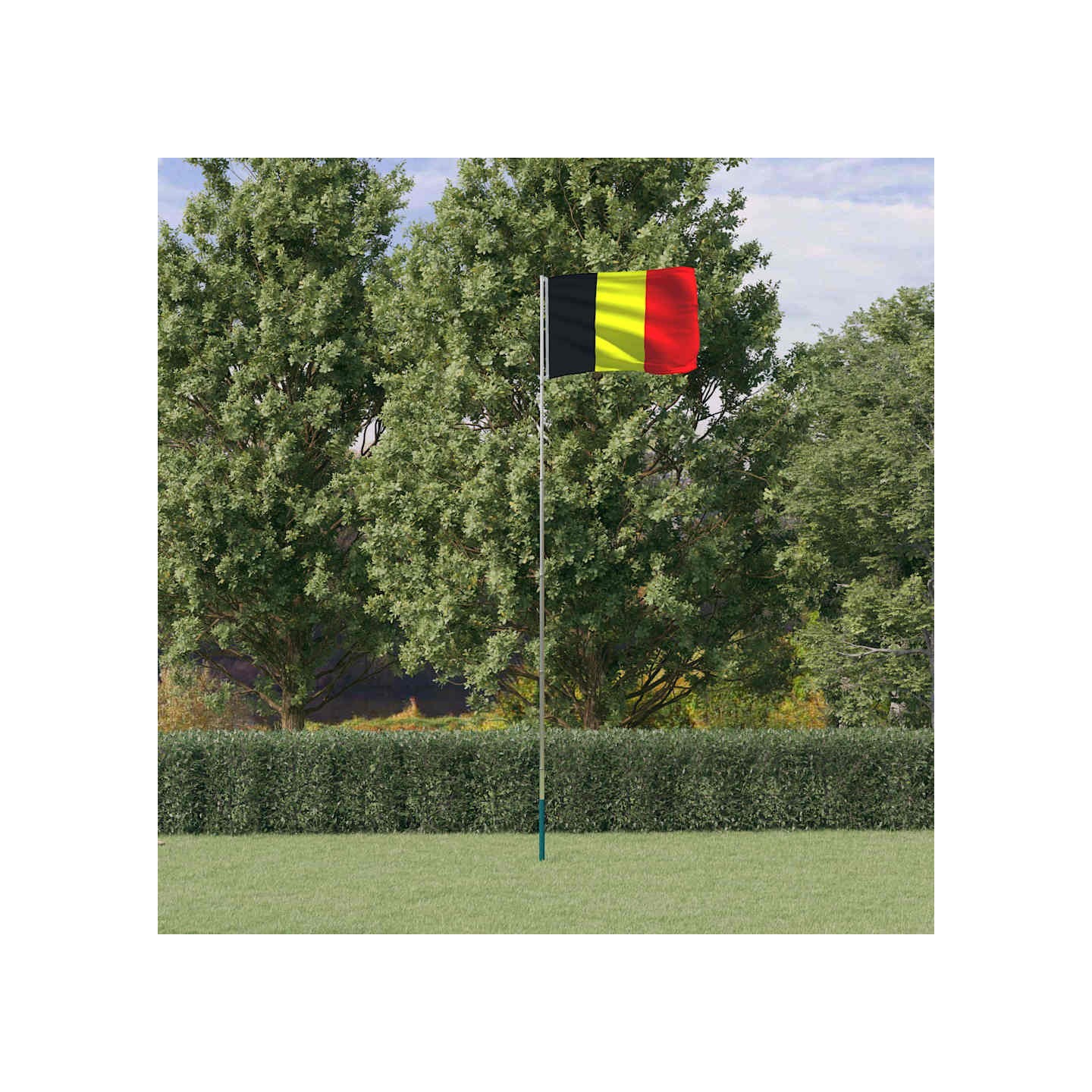 Drapeau de la Belgique et mât 5,5 m Aluminium