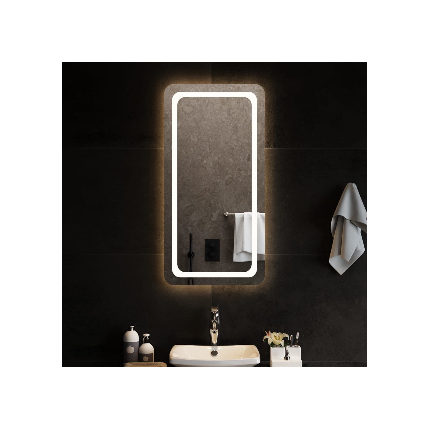 Miroir de salle de bain à LED 50x100 cm