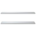 Étagères murales 2 pcs 100x30 cm argenté acier inoxydable