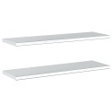 Étagères murales 2 pcs 100x30 cm argenté acier inoxydable