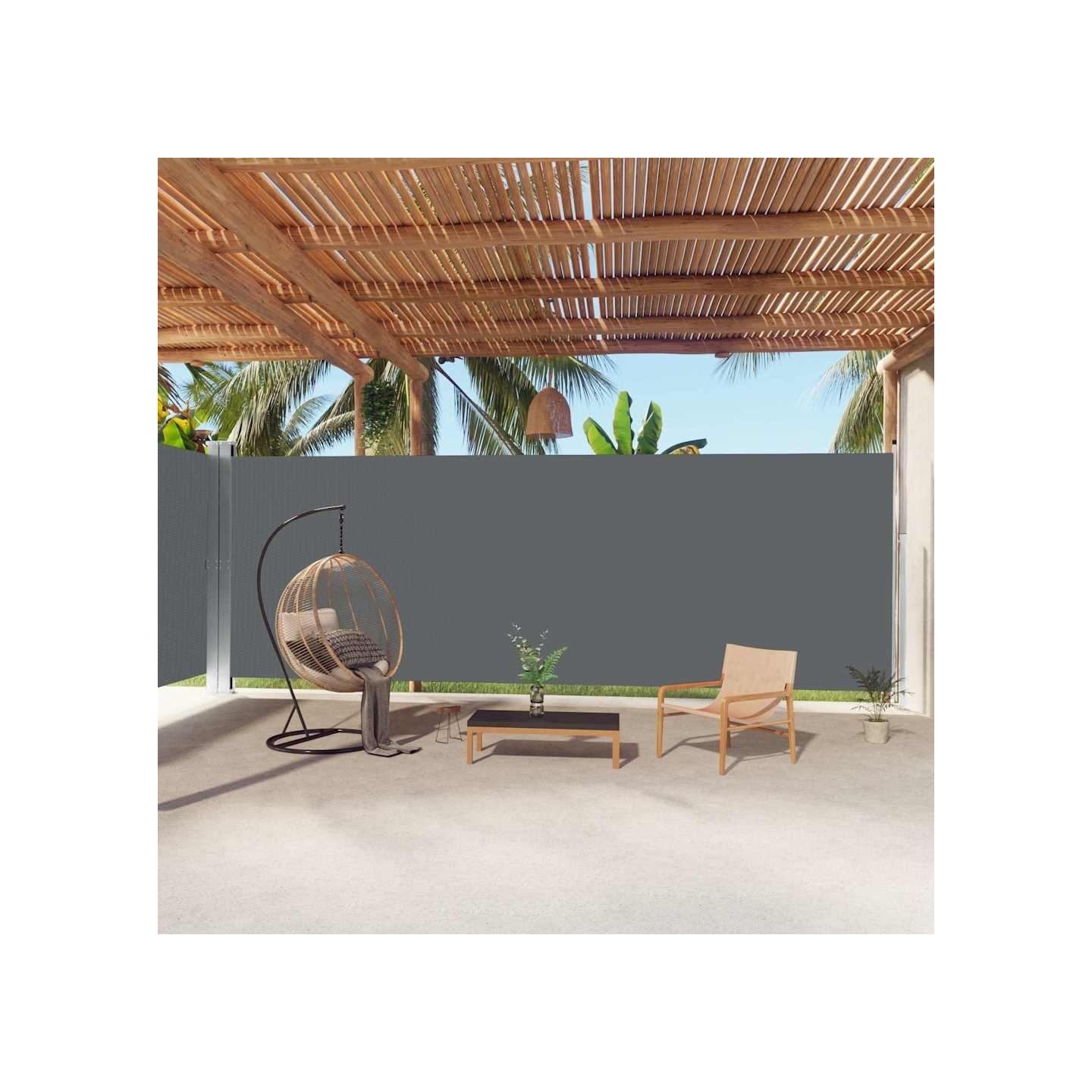 Auvent latéral rétractable Anthracite 220x1000 cm