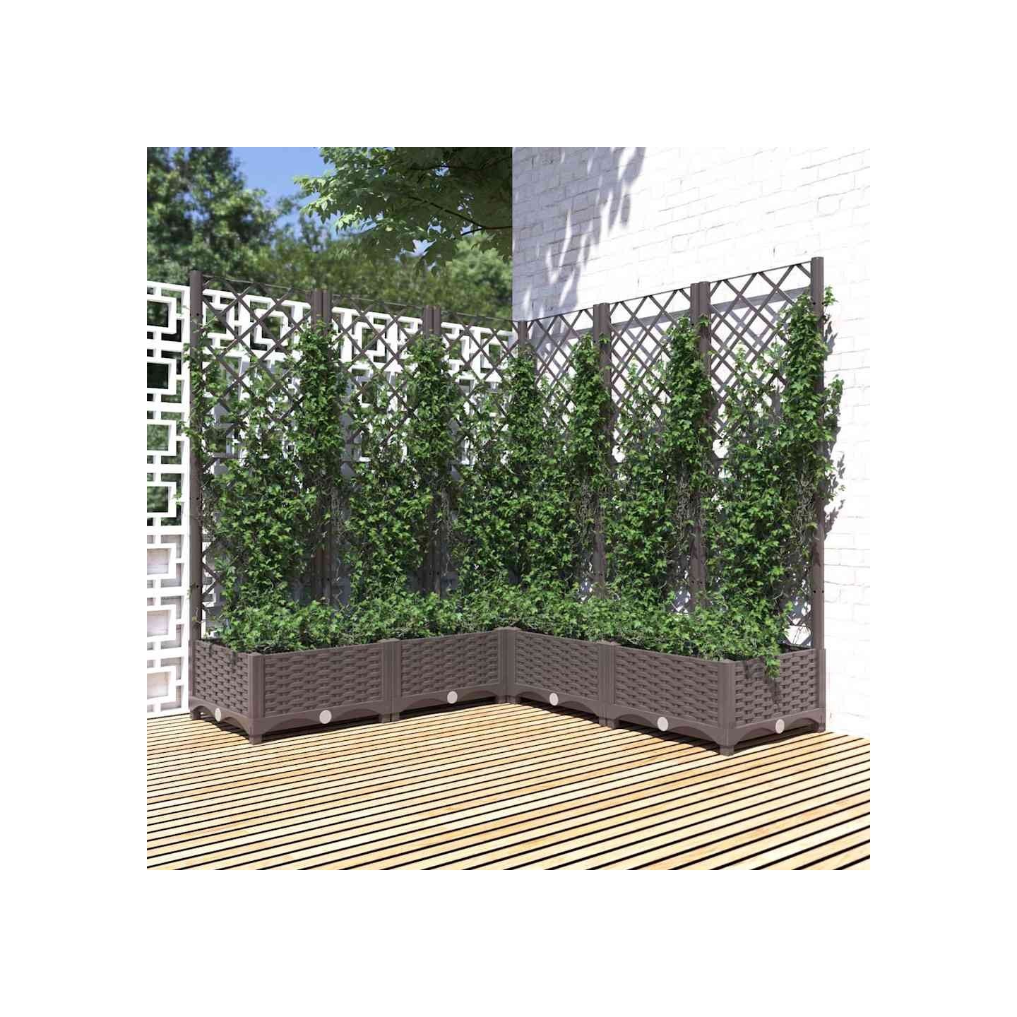 Jardinière avec treillis Marron 120x120x121,5 cm PP
