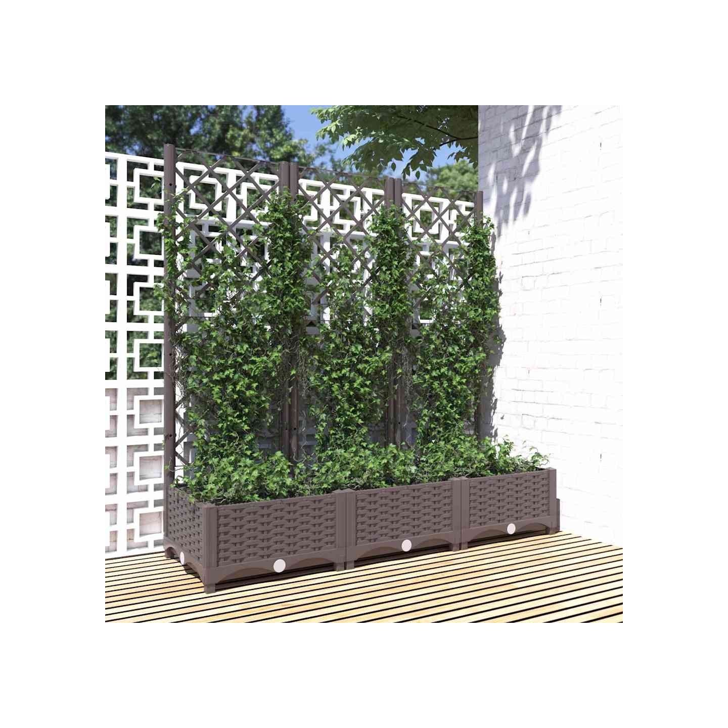 Jardinière avec treillis Marron 120 x 40 x 121,5 cm PP