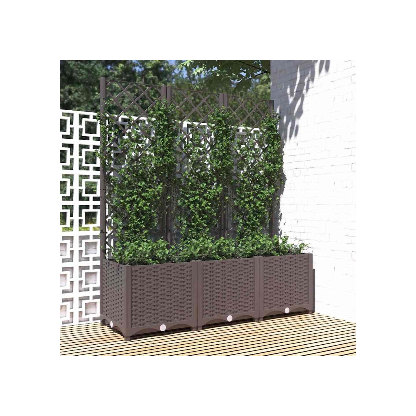 Jardinière avec treillis Marron 120 x 40 x 136 cm PP