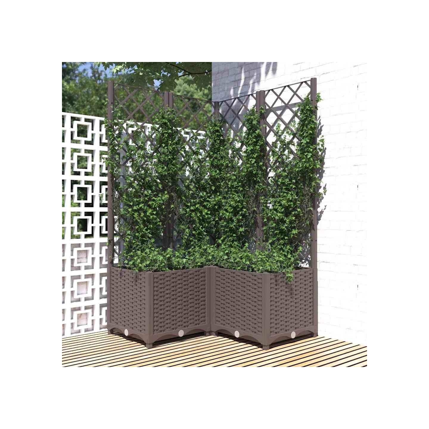 Jardinière avec treillis Marron 80x80x136 cm PP