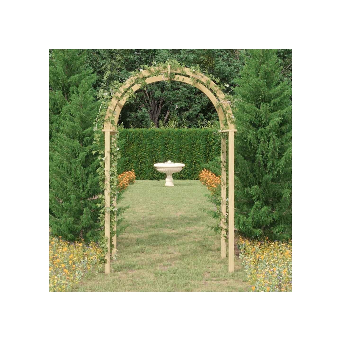 Arche 141x97x243 cm Bois de pin massif imprégné