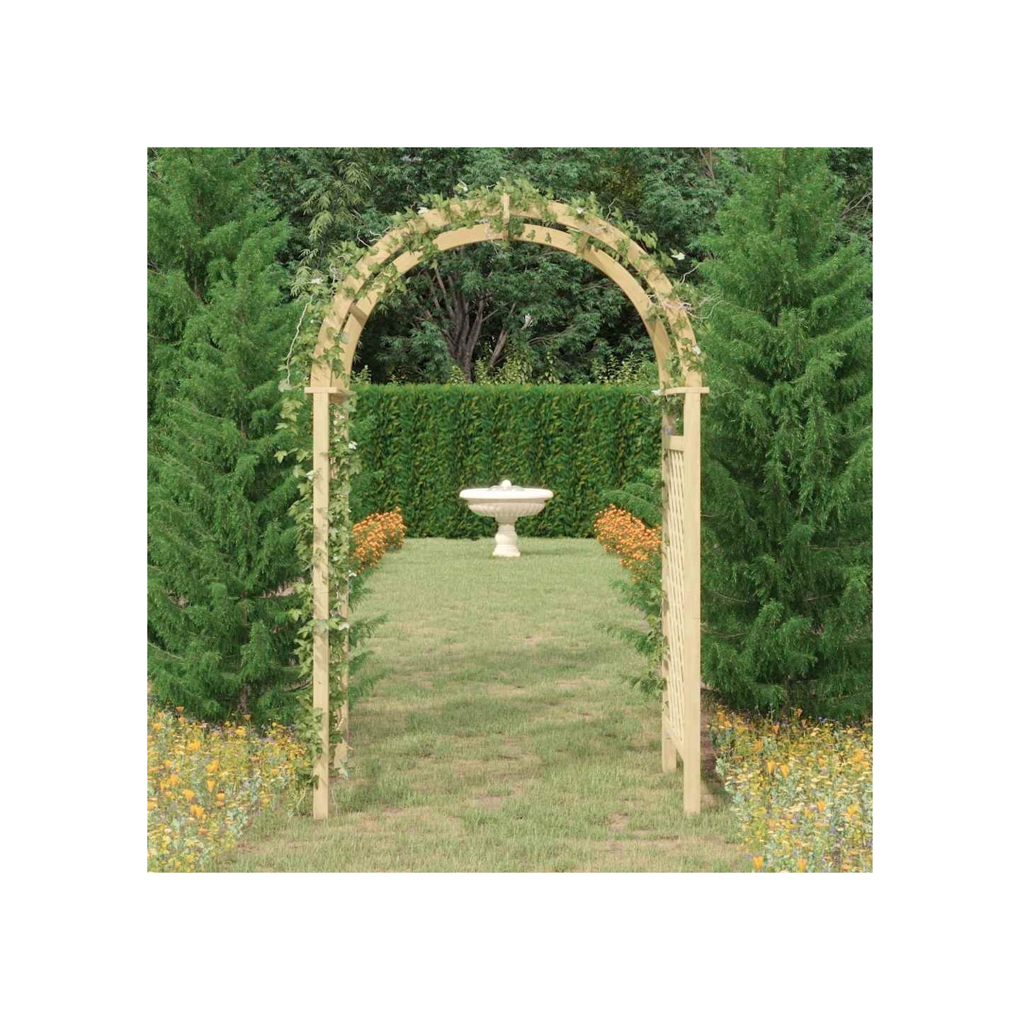Arche avec treillis 141x97x243 cm Bois de pin massif imprégné