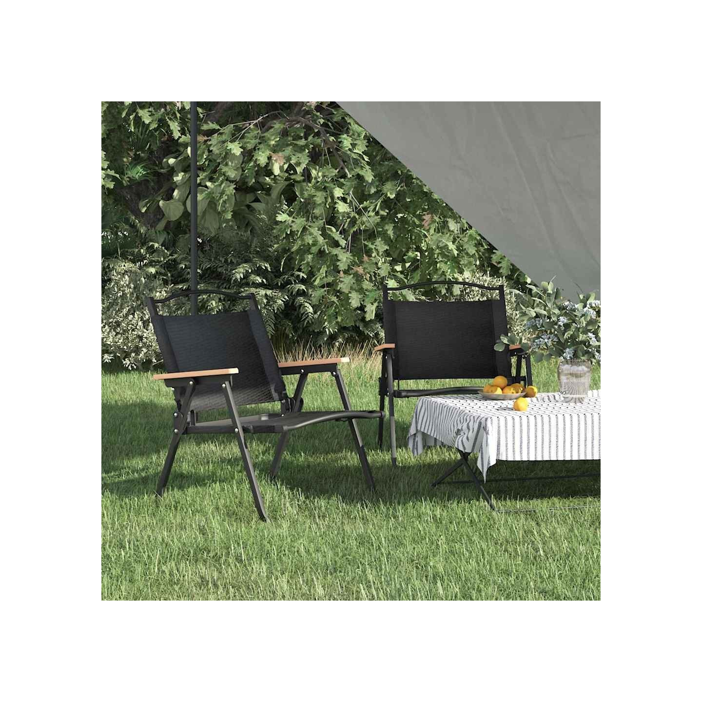Chaises de camping lot de 2 Noir 54x43x59 cm Tissu Oxford
