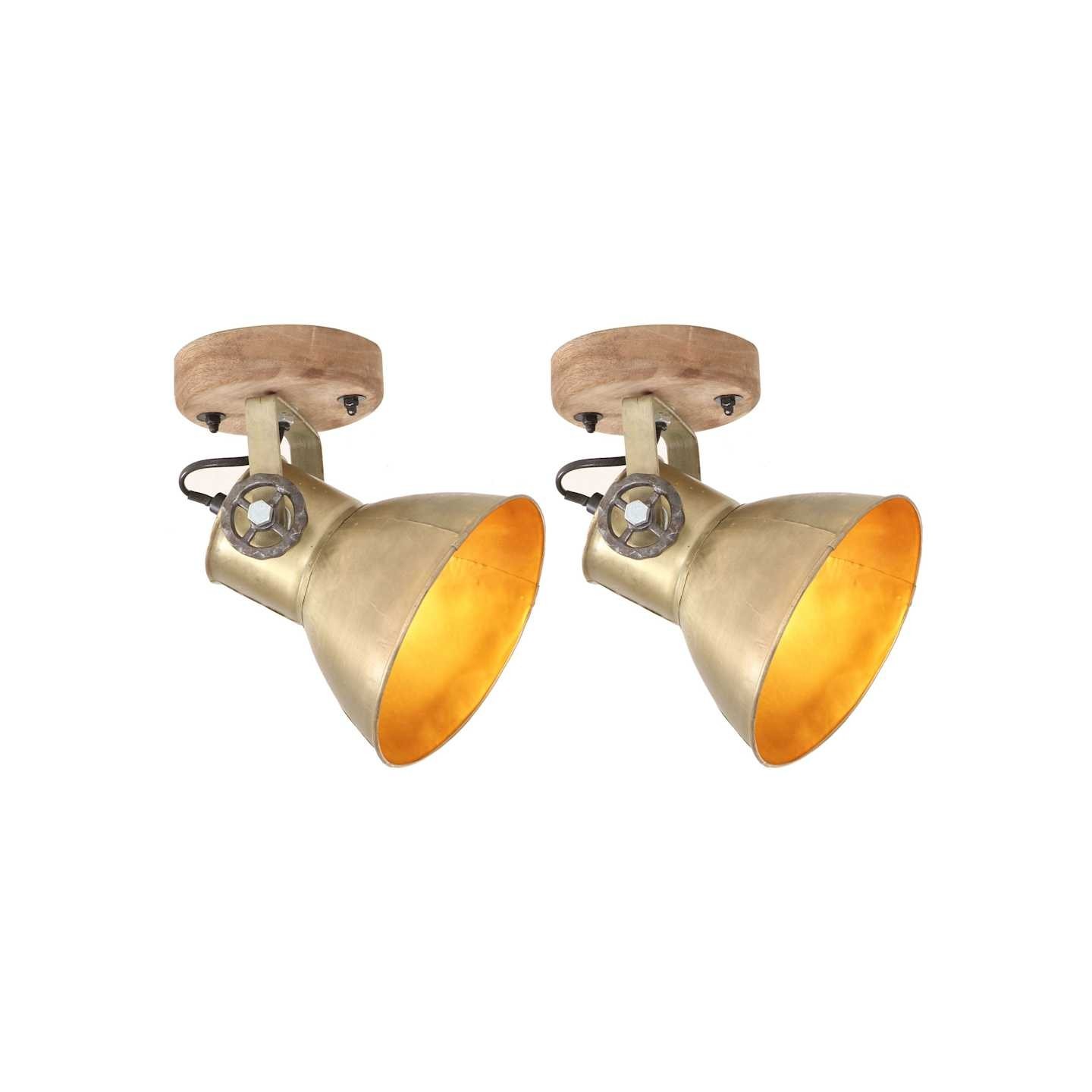 Lampe murale industrielle/de plafond 2 pcs Laiton 20x25 cm E27