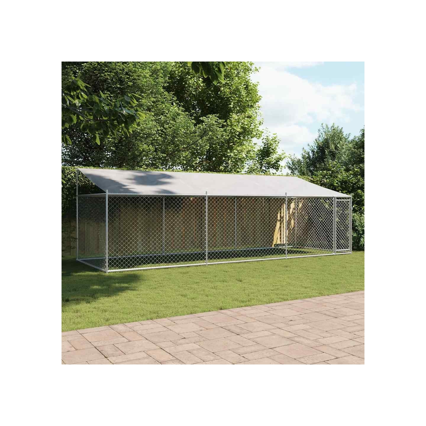 Cage pour chien avec toit et porte gris 6x2x2 m acier galvanisé