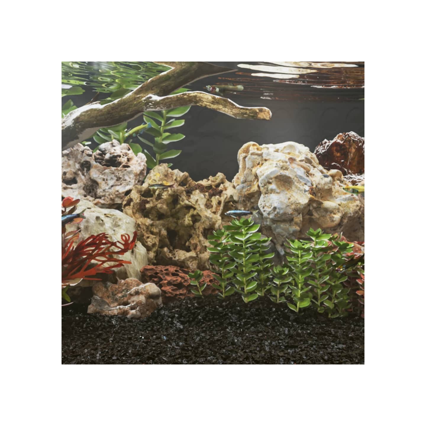 Pierres du dragon 10 kg marron 5-30 cm