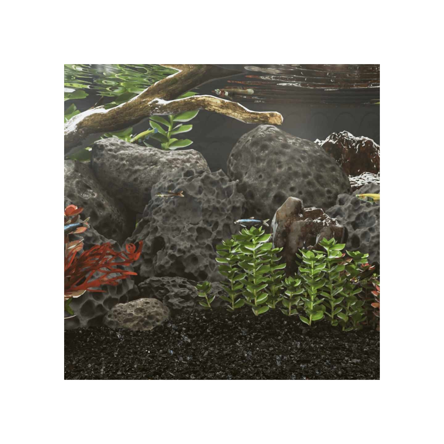 Roches volcaniques 10 kg noir 10-30 cm