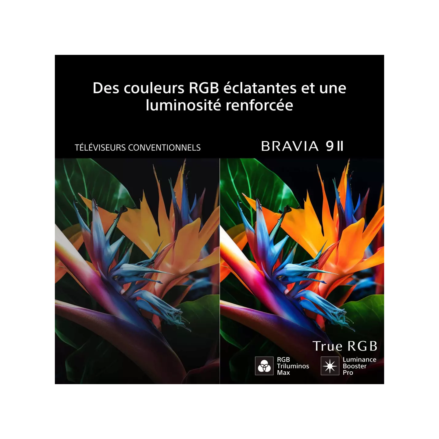 TV LED Sony BRAVIA 9 II K85XR95M2PB 85" 4K True RGB | Nimestore