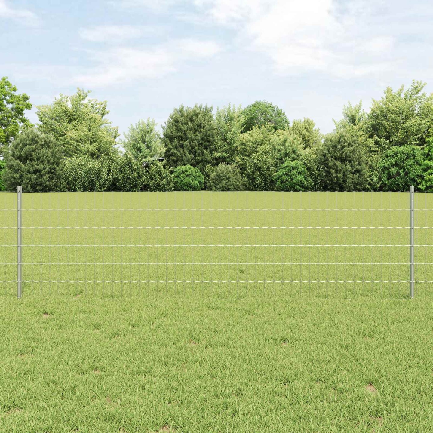 Clôture Euro avec poteau 10 x 0,6 m Acier galvanisé Argenté