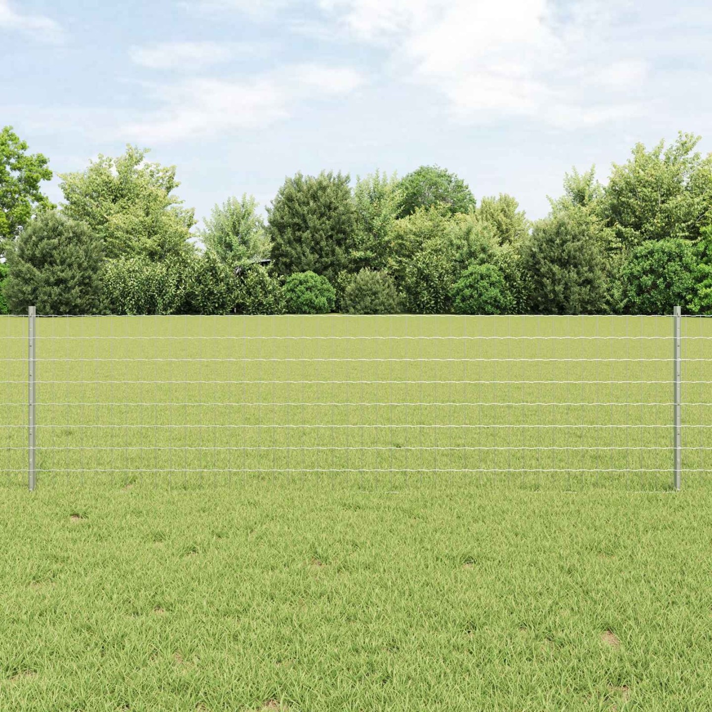 Clôture Euro avec poteau 10 x 0,6 m Acier galvanisé Argenté