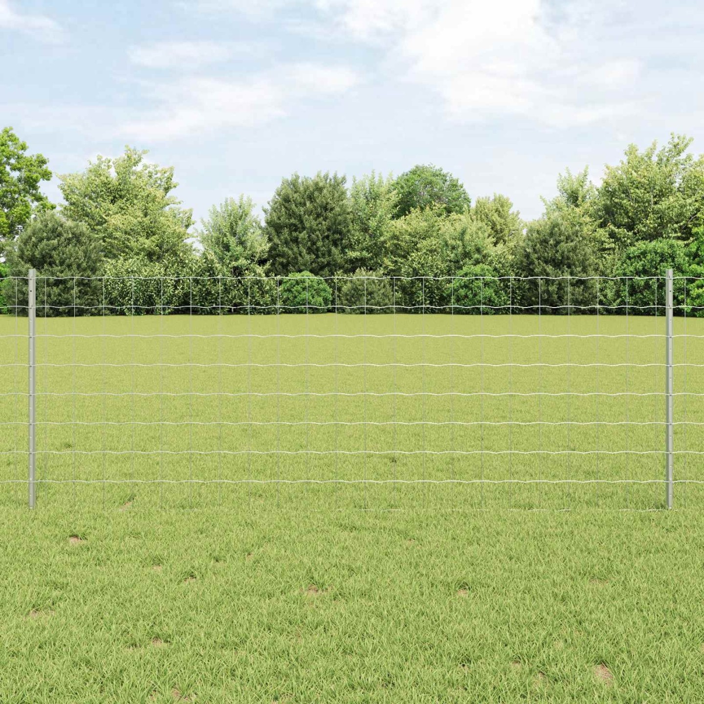 Clôture Euro avec poteau 10 x 0,8 m Acier galvanisé Argenté