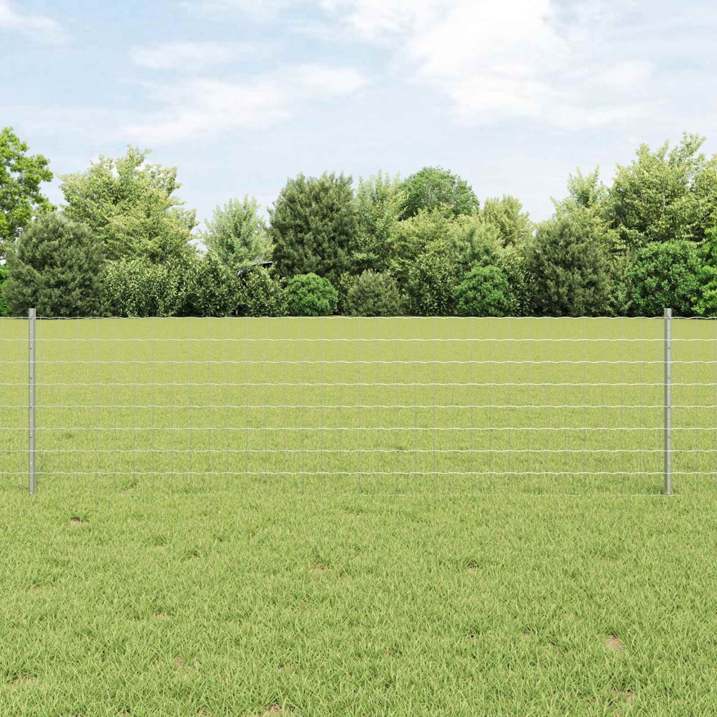 Clôture Euro avec poteau 10 x 0,6 m Acier galvanisé Argenté