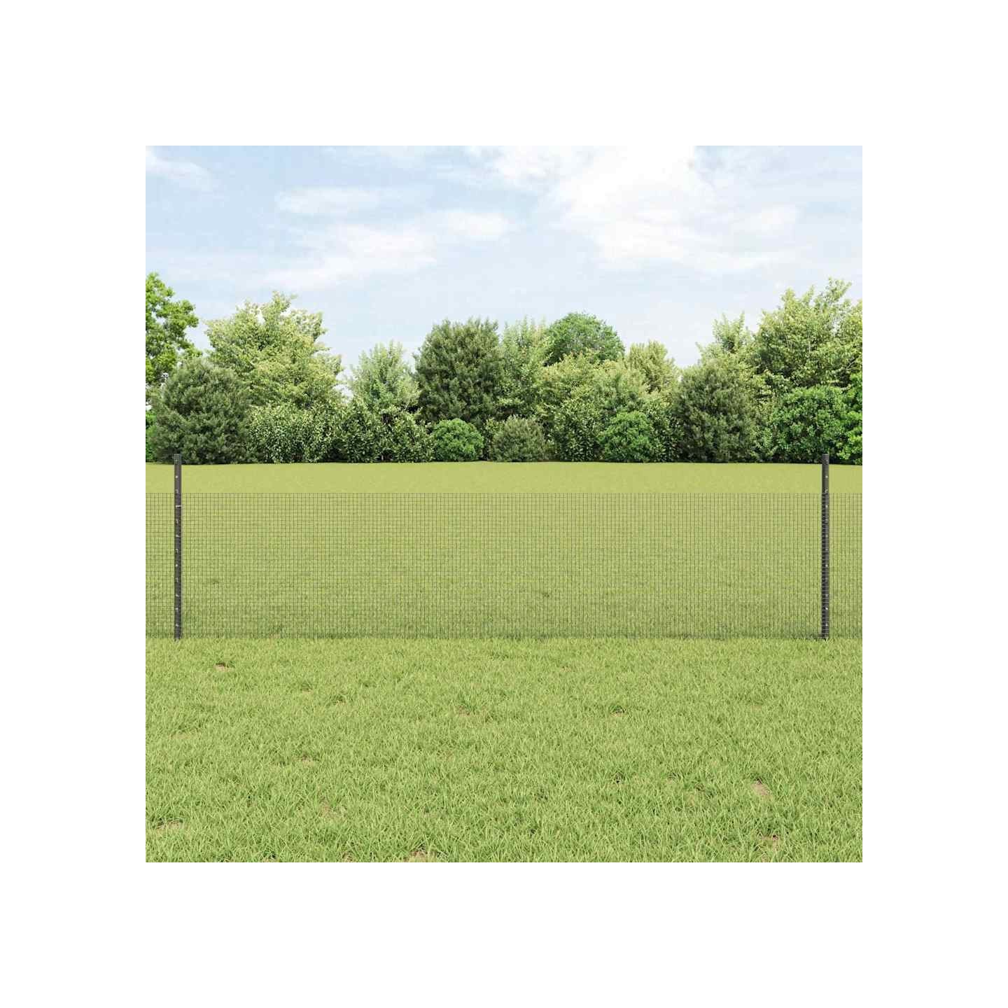 Clôture en fil soudé avec poteaux 10 x 0,5 m Acier galvanisé
