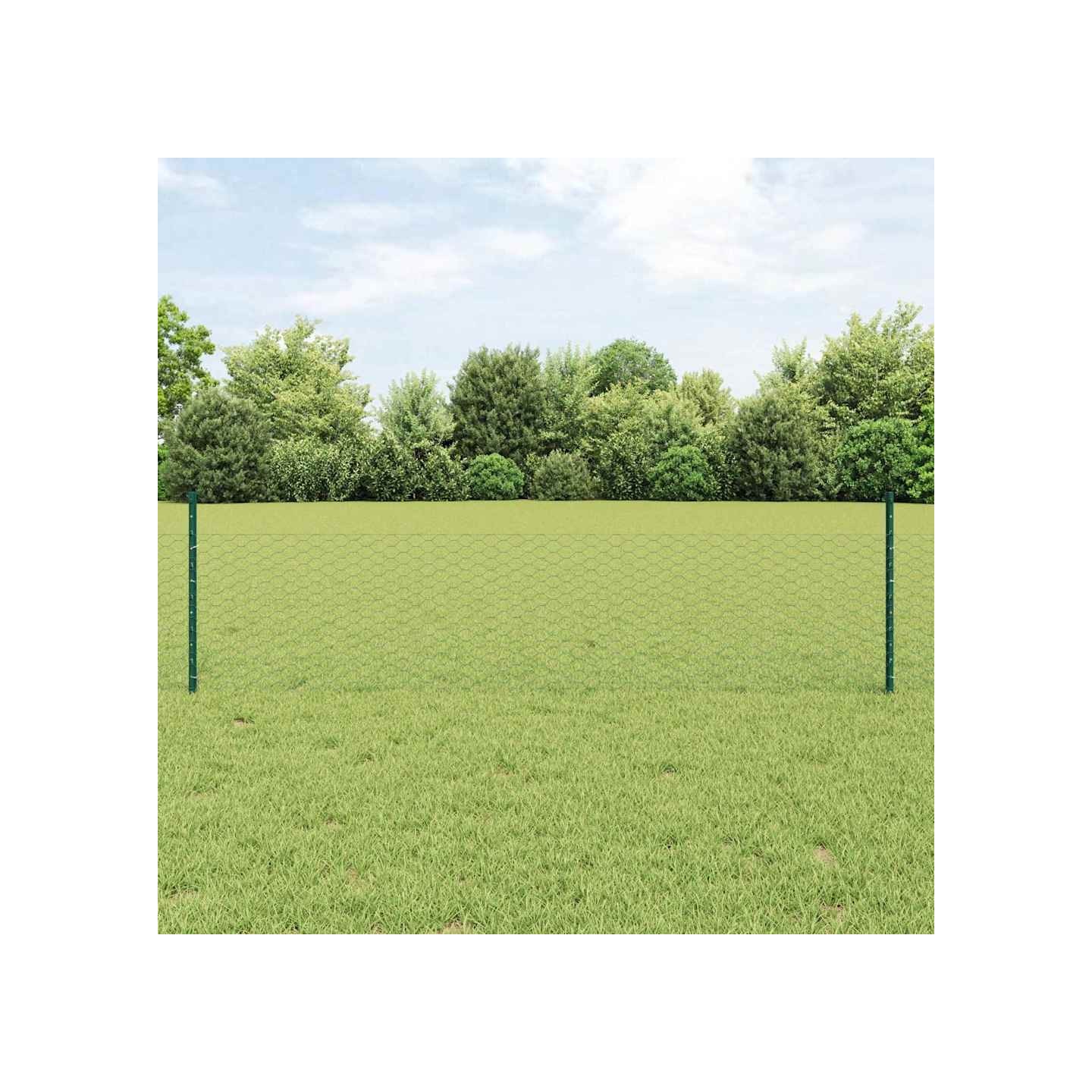 Clôture hexagonale avec poteau 10 x 0,5 m Vert Maille