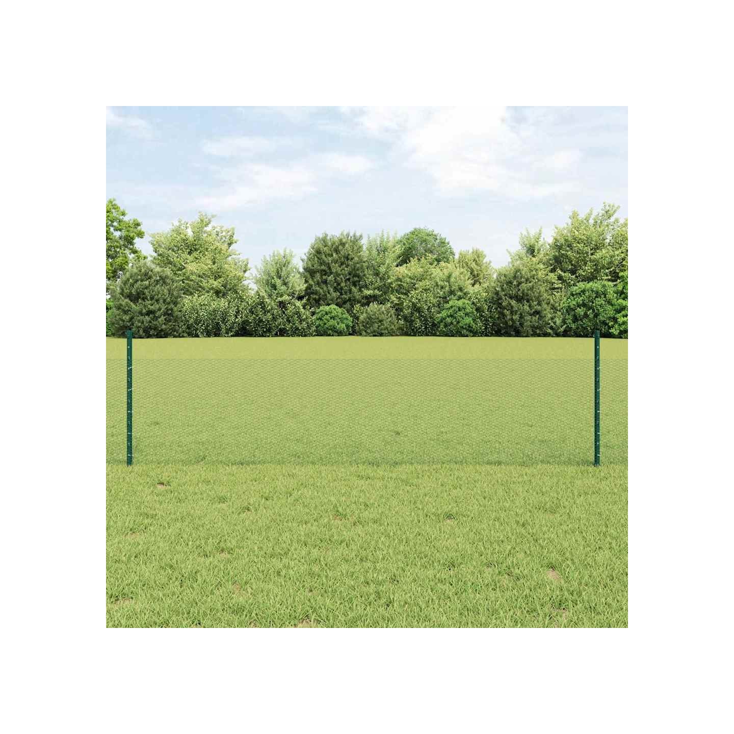 Clôture hexagonale avec poteau 10 x 0,5 m Vert Maille