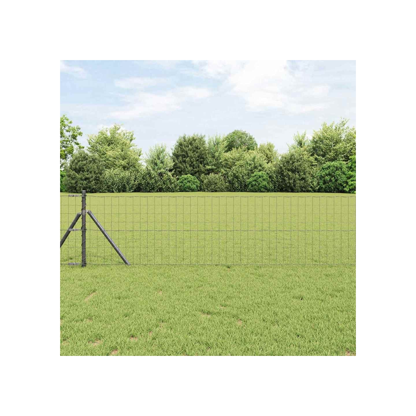 Fixation au sol Euro pour clôture 10 x 0,8 m Gris Maille