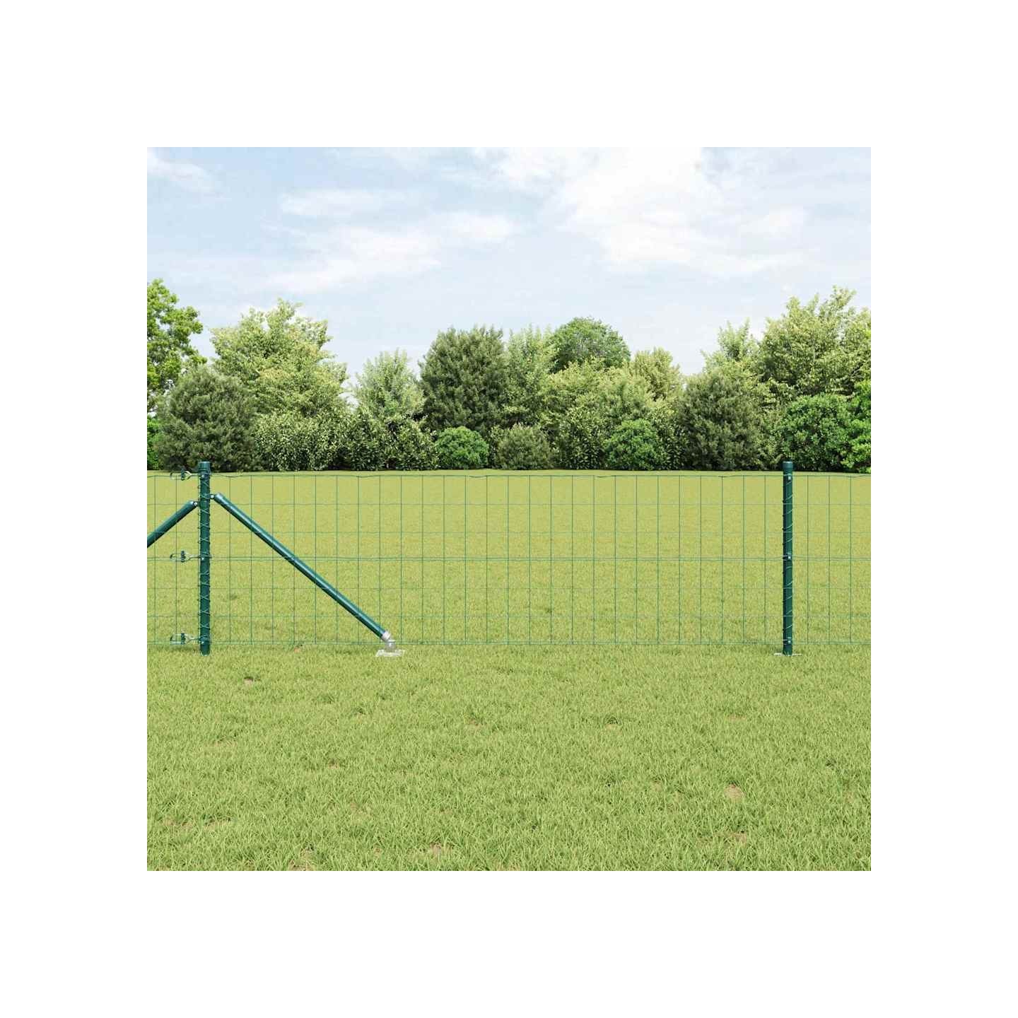 Clôture Euro avec des Pointes 10 x 0,6 m Acier recouvert de PVC