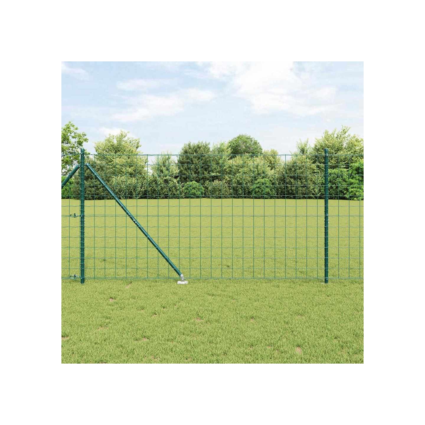 Clôture Euro avec des Pointes 10 x 1,2 m Acier recouvert de PVC