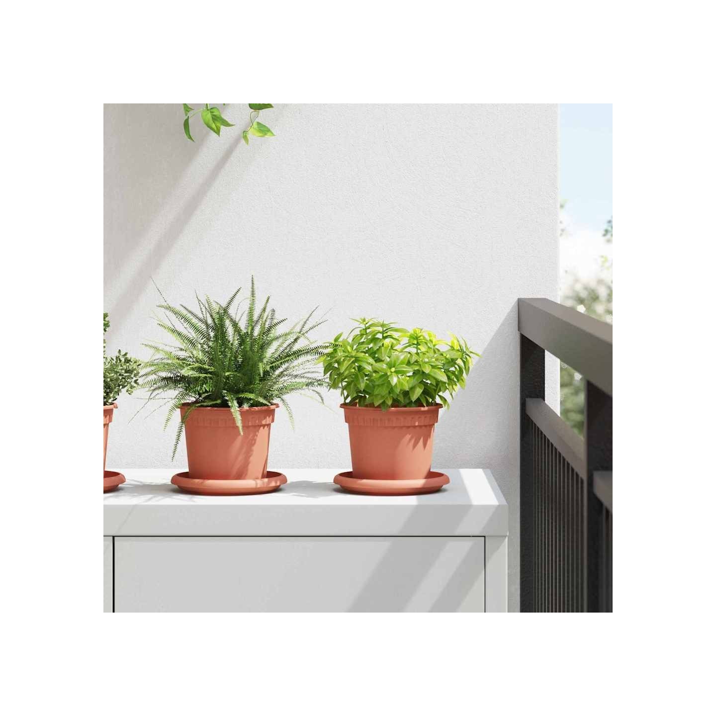 Pots de plantes 24 pc Rouge brique Plastique