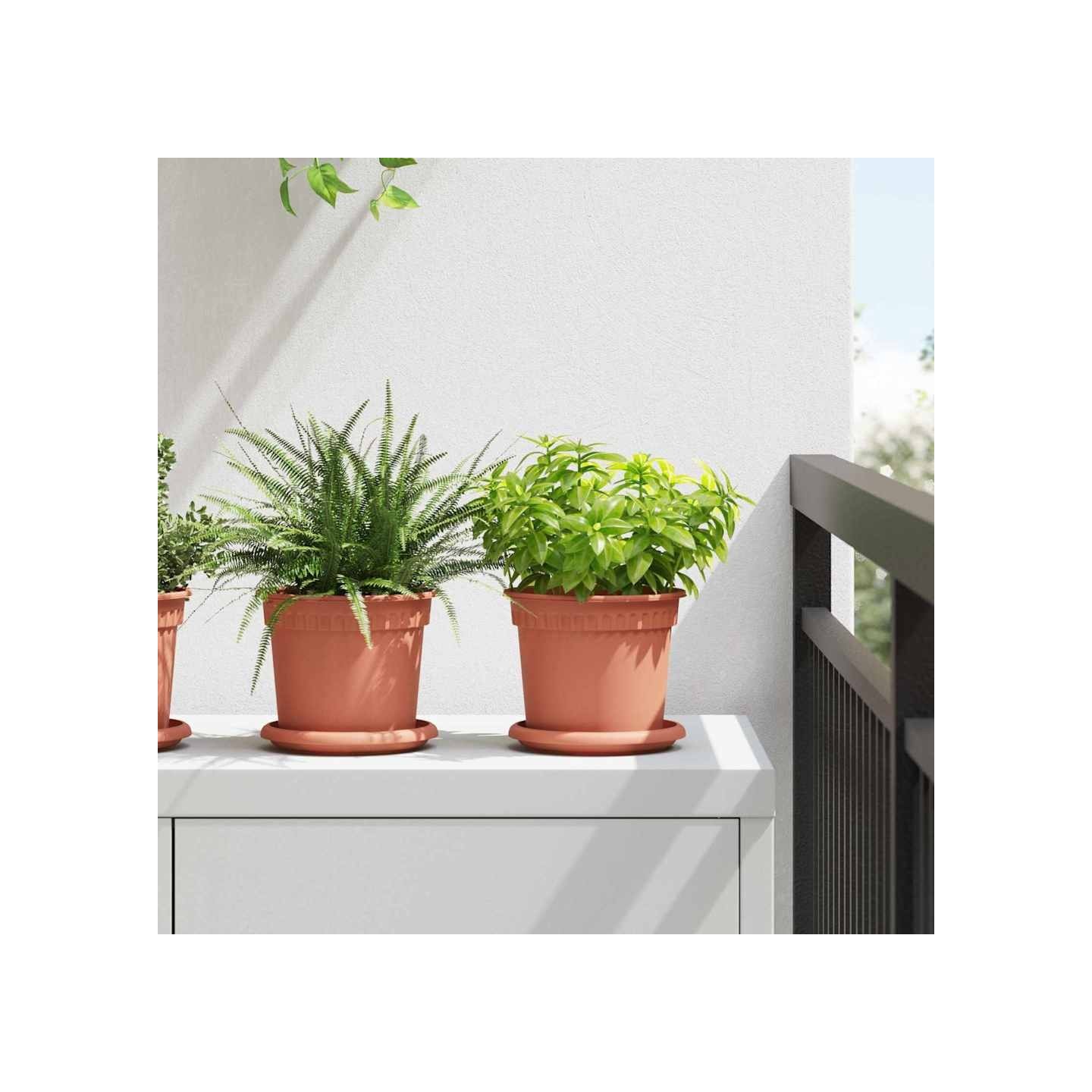 Pots de plantes 24 pc Rouge brique Plastique