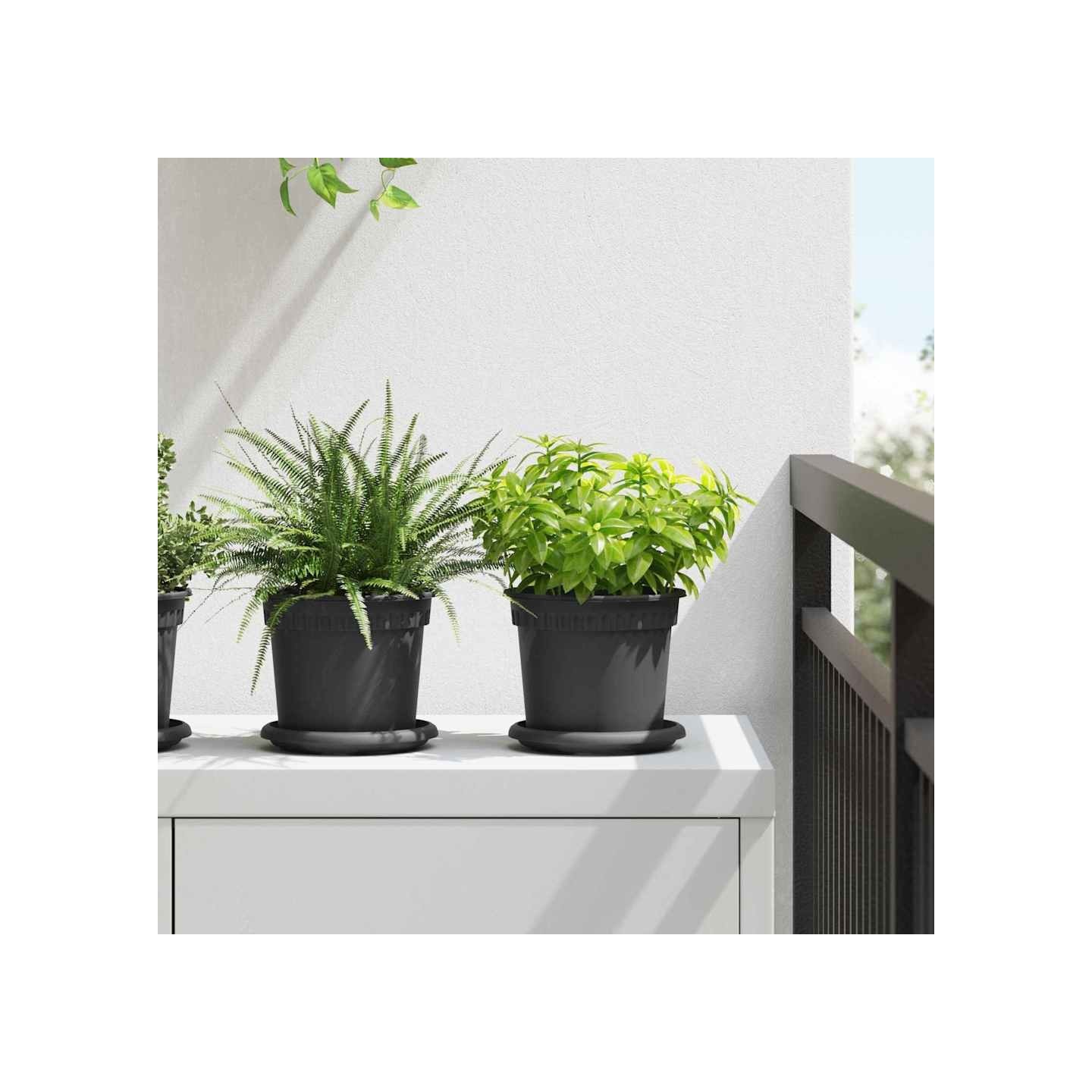 Pots de plantes 24 pc Noir Plastique