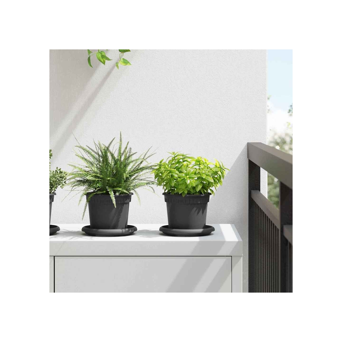 Pots de plantes 24 pc Noir Plastique