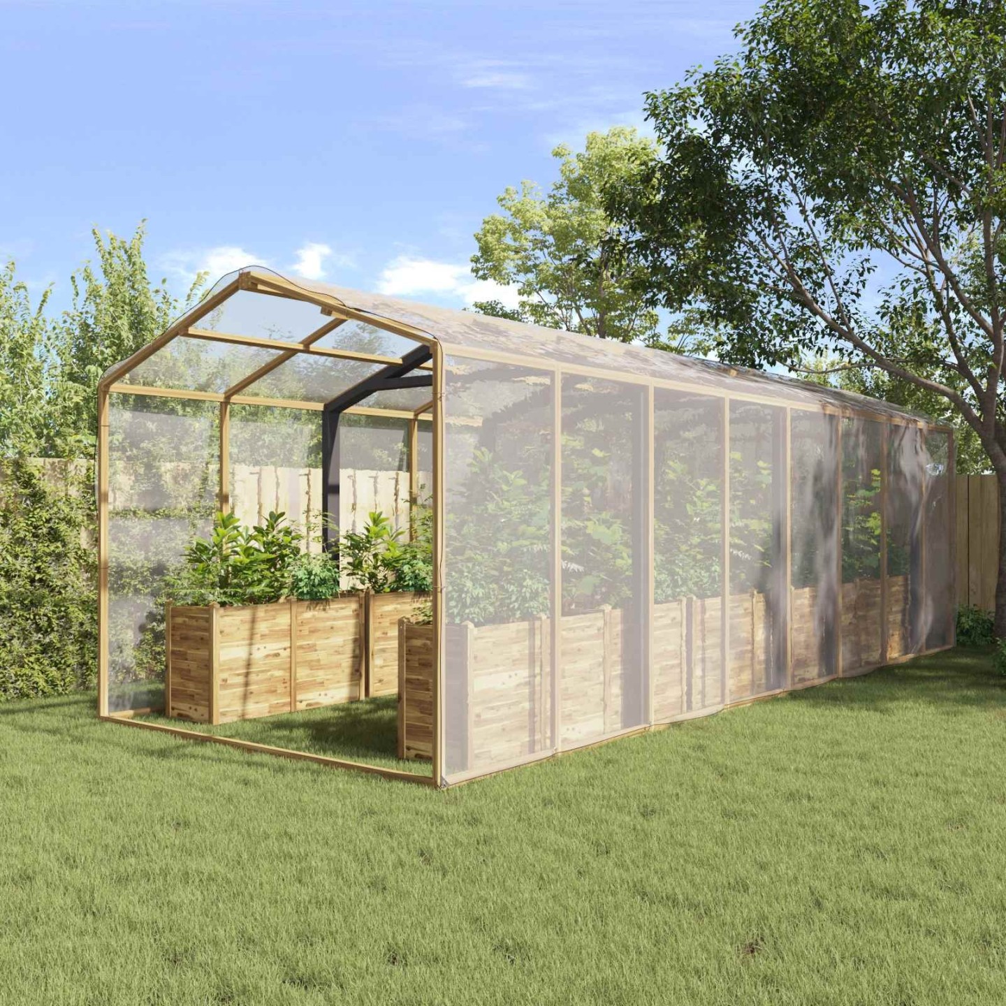 Couverture pour plantes 6 x 10 m PE Transparent