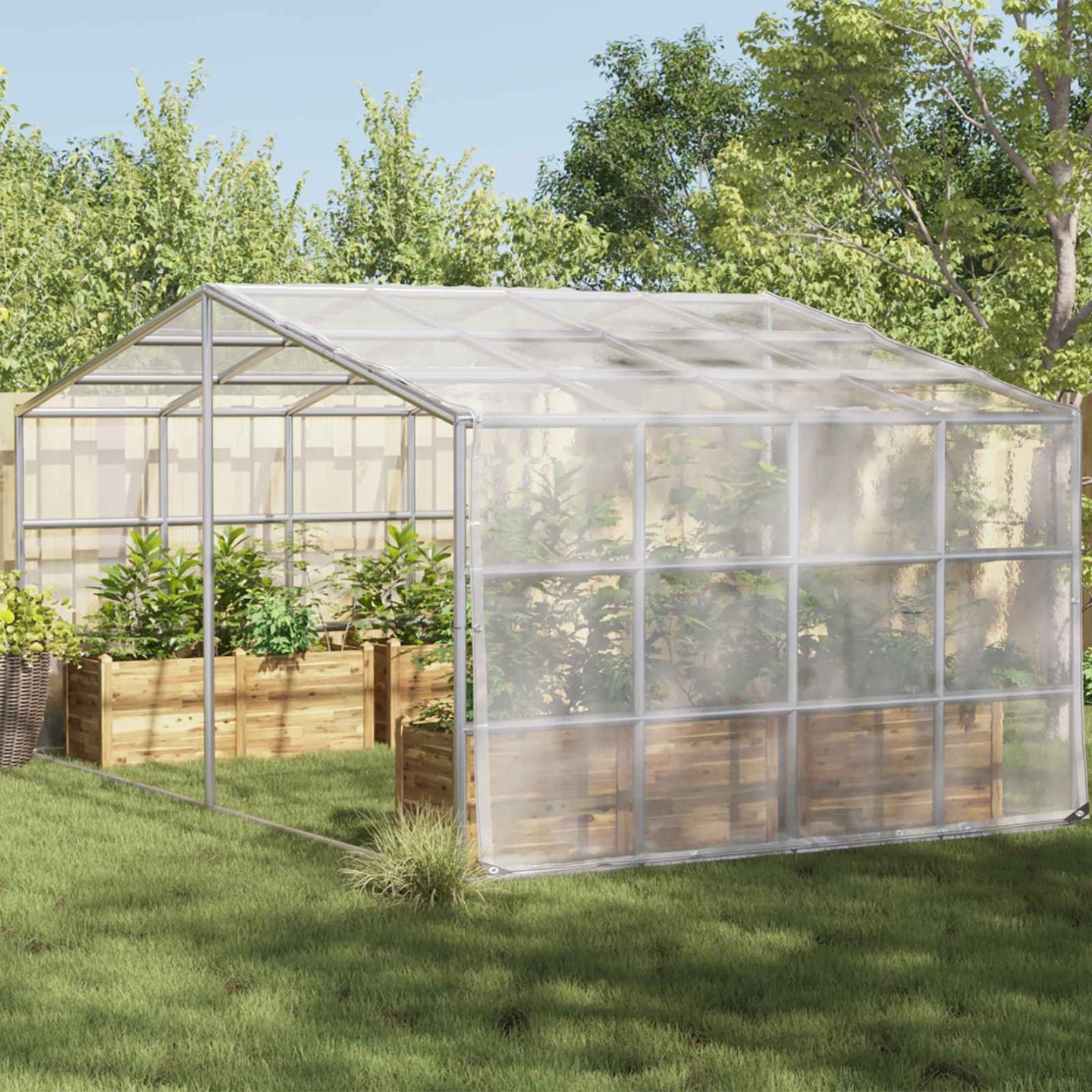 Couverture pour plantes 5 x 5 m PE Transparent