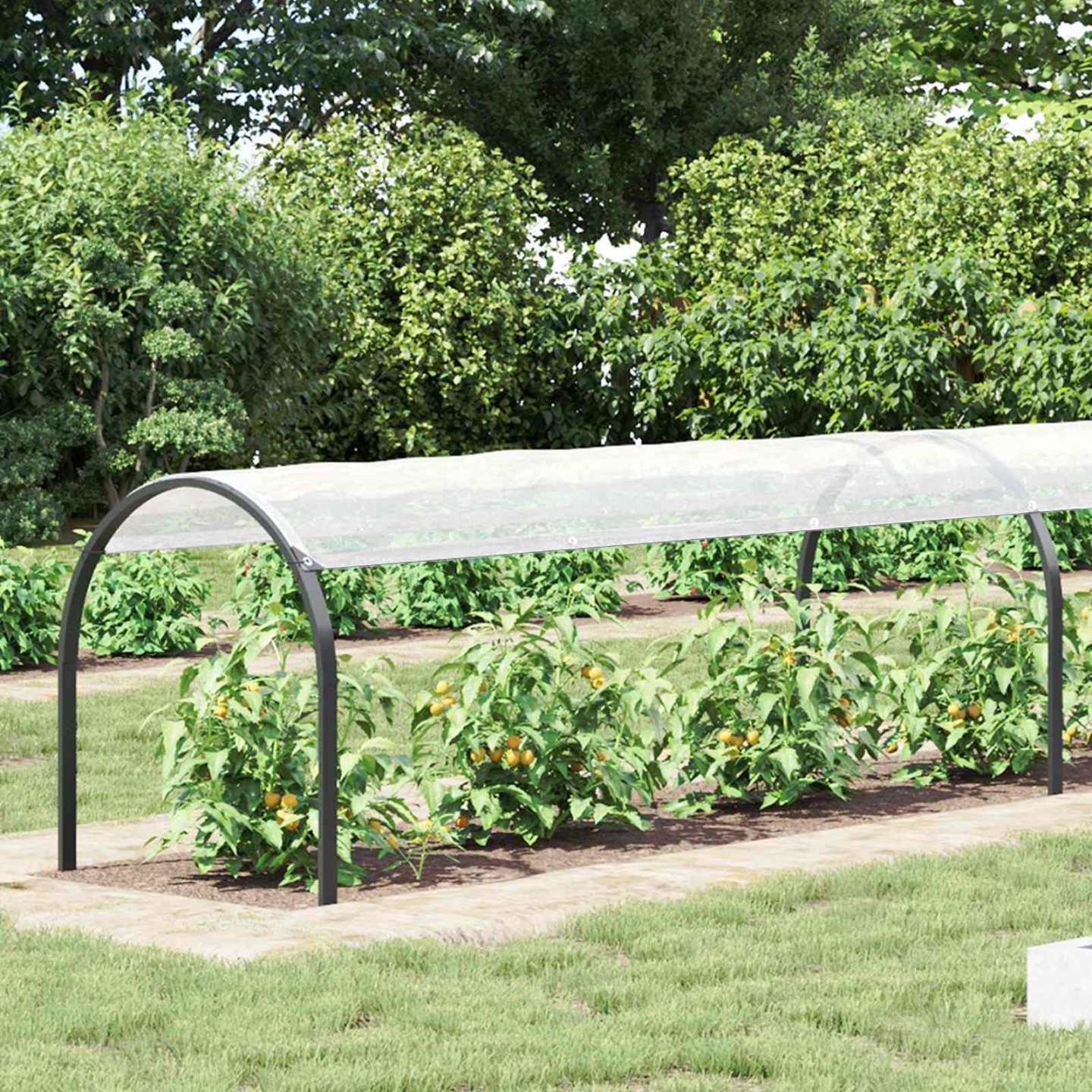 Couverture pour plantes 1,5 x 10 m PE Transparent