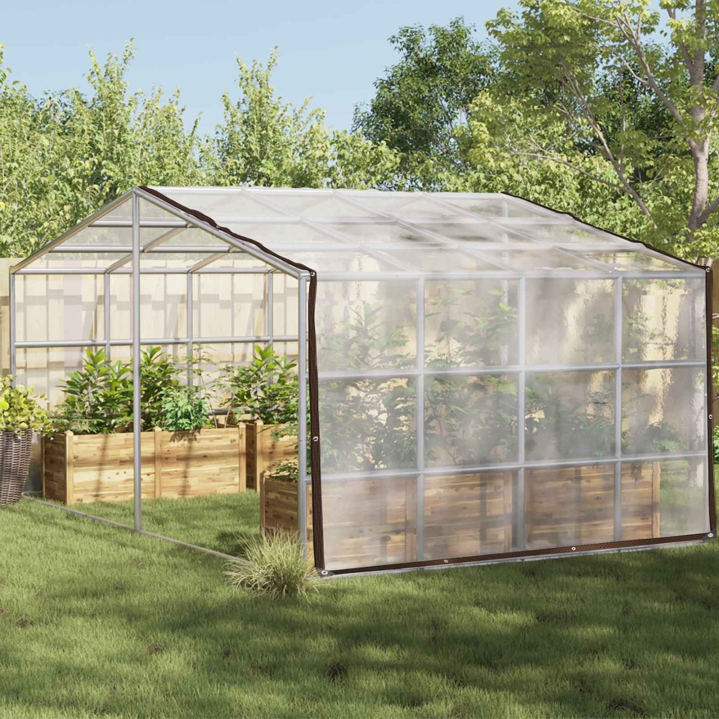 Couverture pour plantes 4 x 5 m PE Translucide