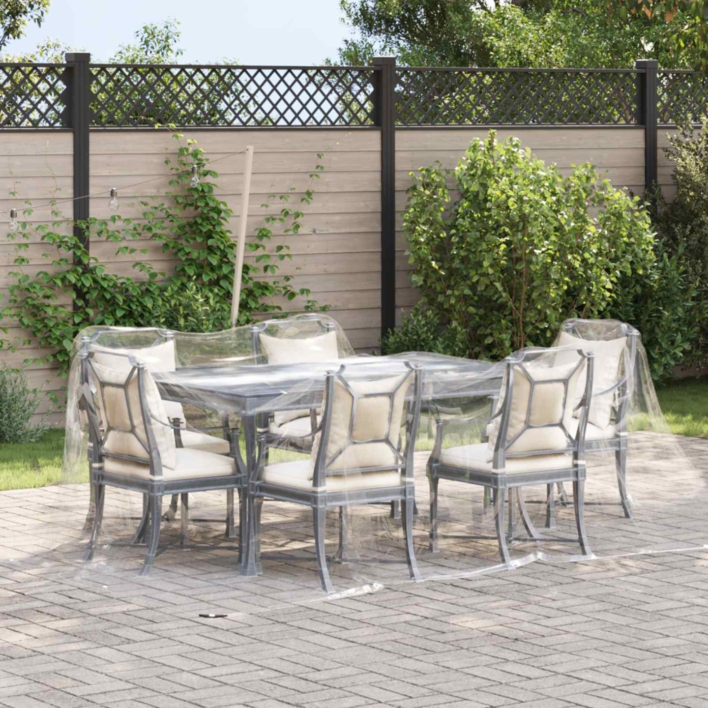 Couverture pour plantes 2 x 12 m PVC Transparent