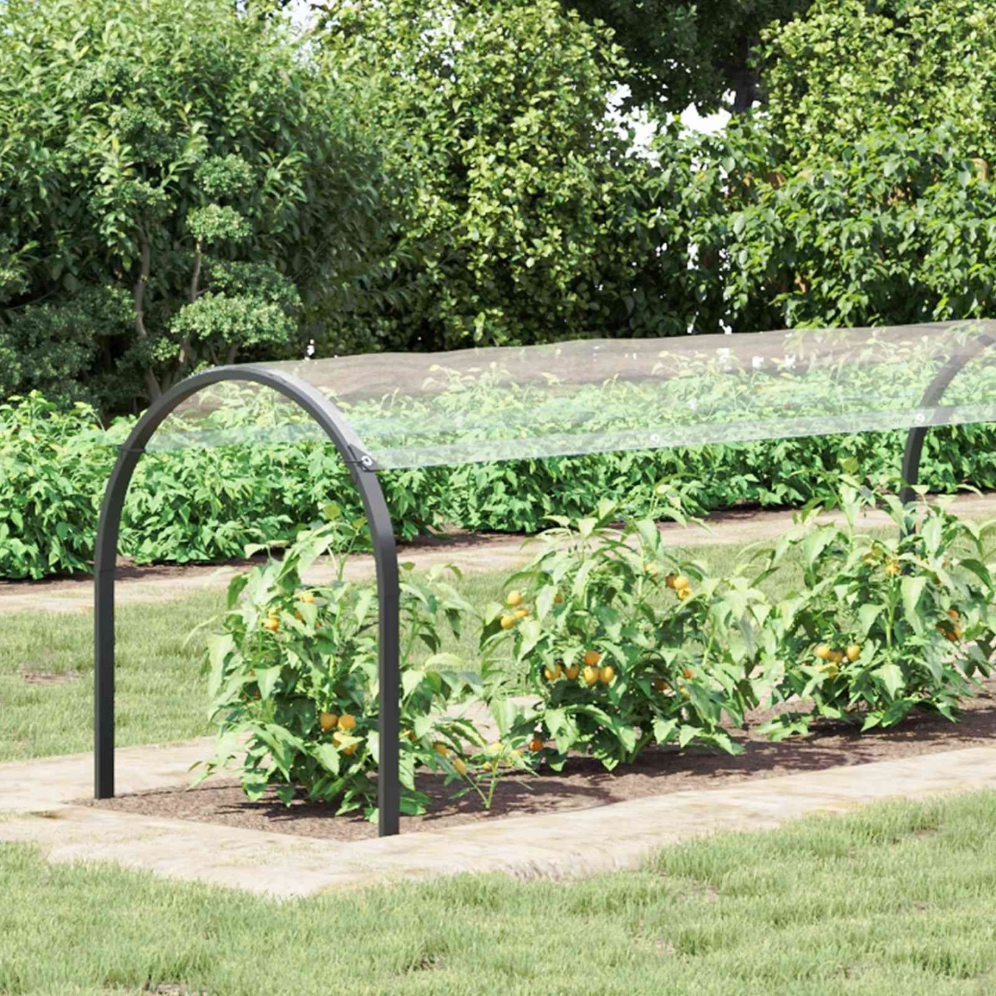 Couverture pour plantes 1,5 x 20 m PVC Transparent