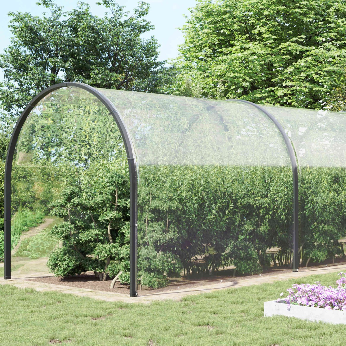 Couverture pour plantes 8 x 8 m PVC Transparent