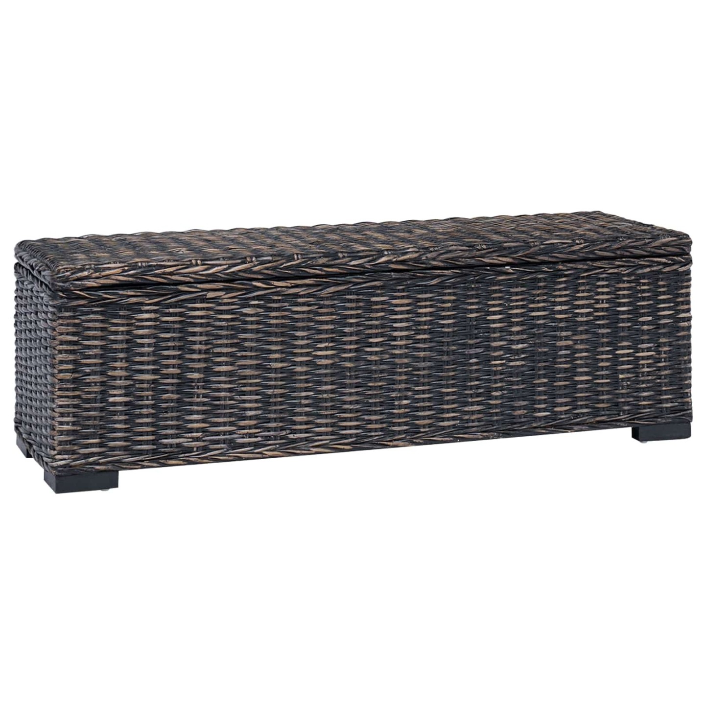 Boîte de rangement Noir 110 x 35 x 35 cm