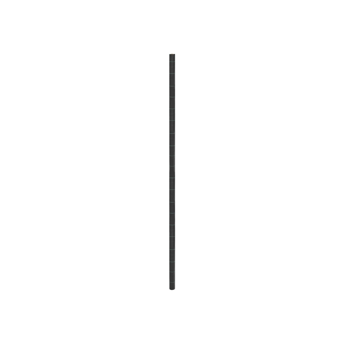 Membrane anti-mauvaises herbes noir 4x10 m PP