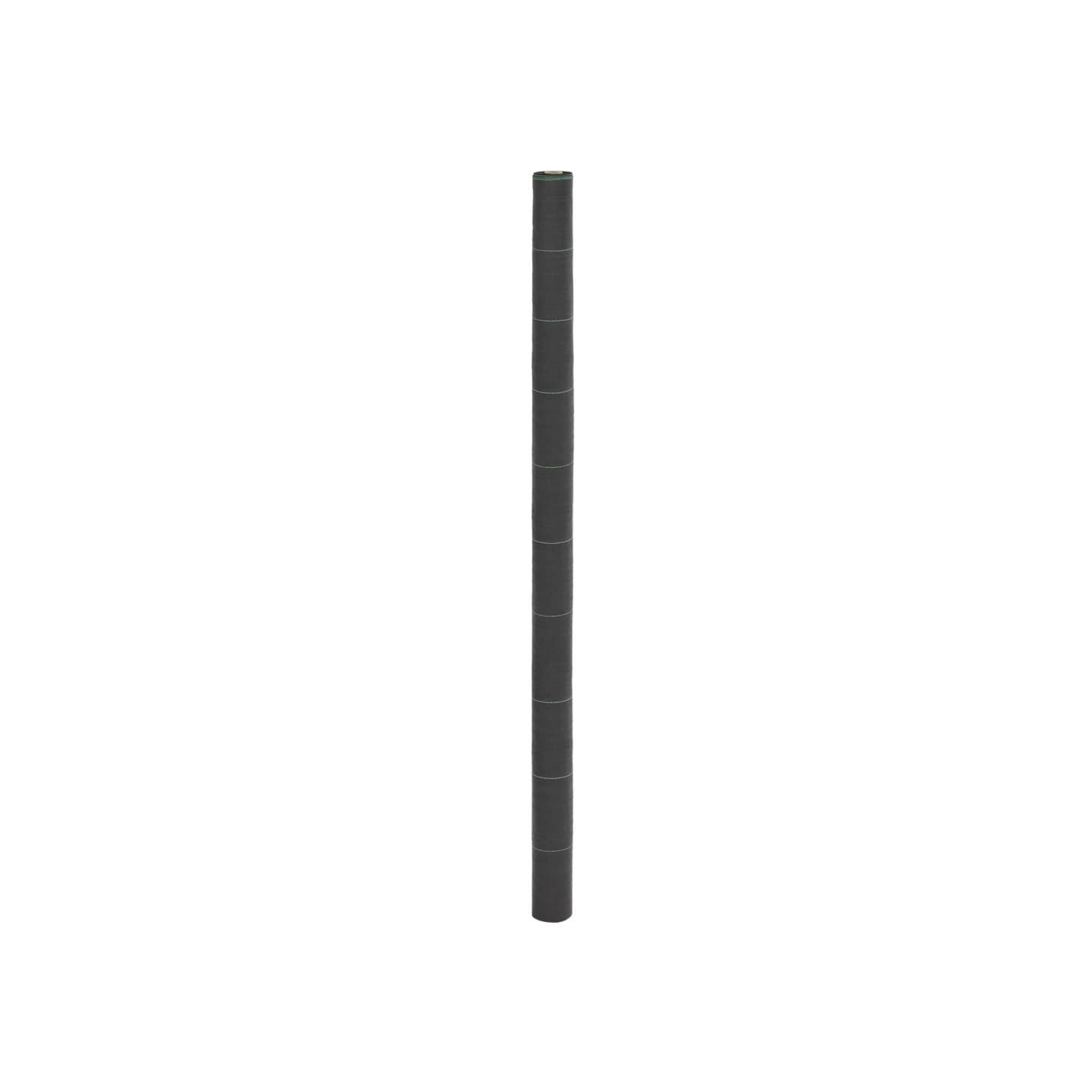 Membrane anti-mauvaises herbes noir 2x10 m PP